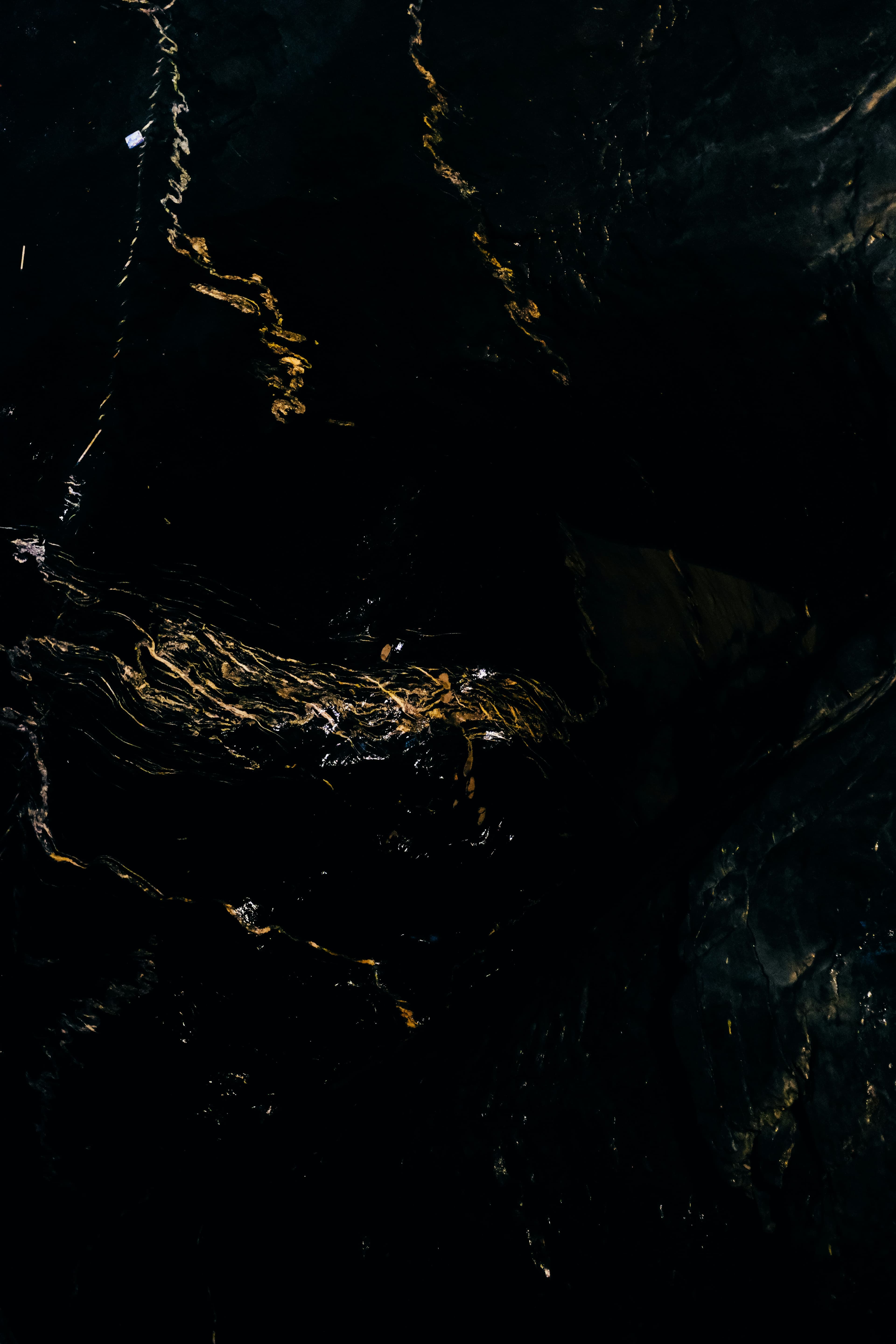 Collection Background